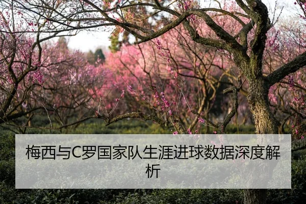梅西与C罗国家队生涯进球数据深度解析